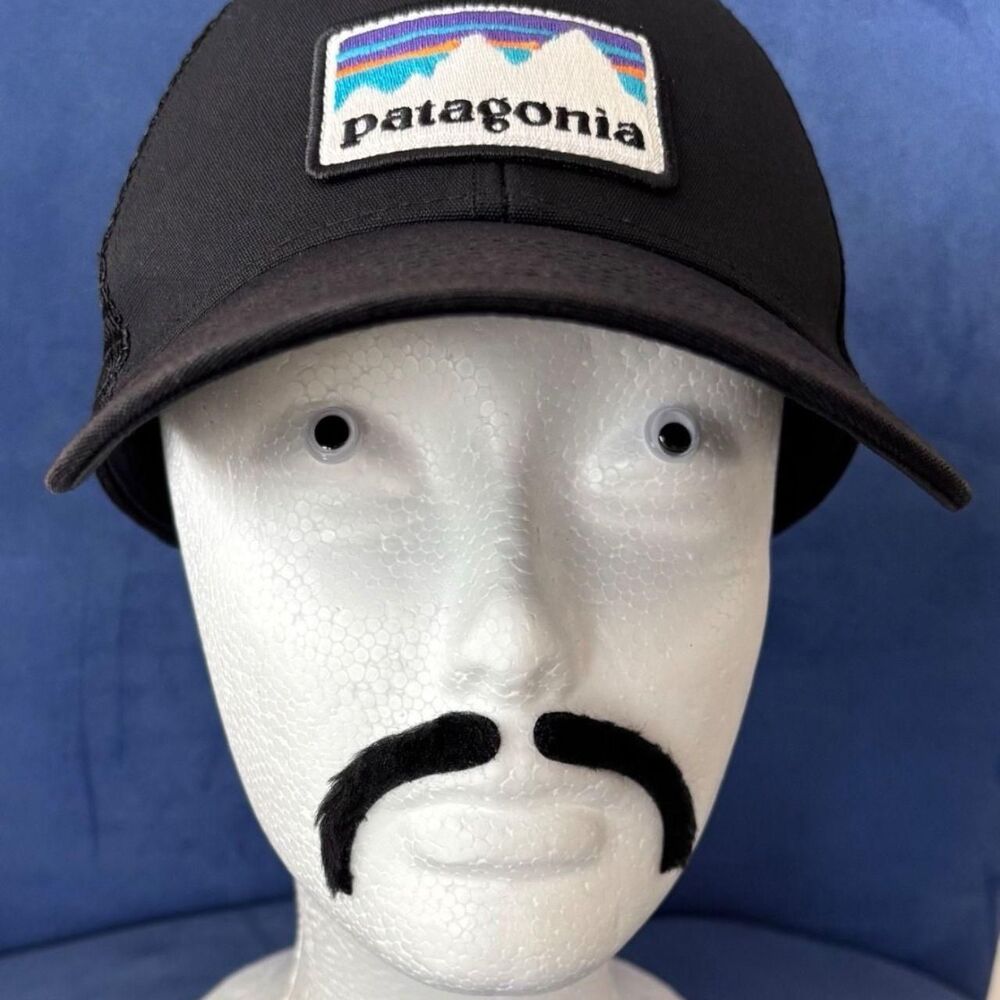 Patagonia Men's Black Hat